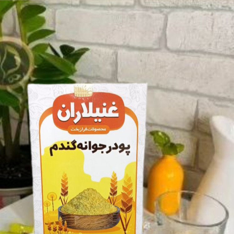 «جوانه گندم ارگانیک، مکمل طبیعی برای حفظ سلامت عمومی، تقویت بدن و افزایش انرژی روزانه بزرگسالان.»